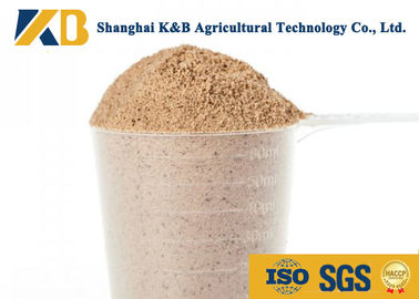 OEM Brązowy ryż w proszku / produkty paszowe dla zwierząt Dobrze zbilansowany profil aminokwasowy